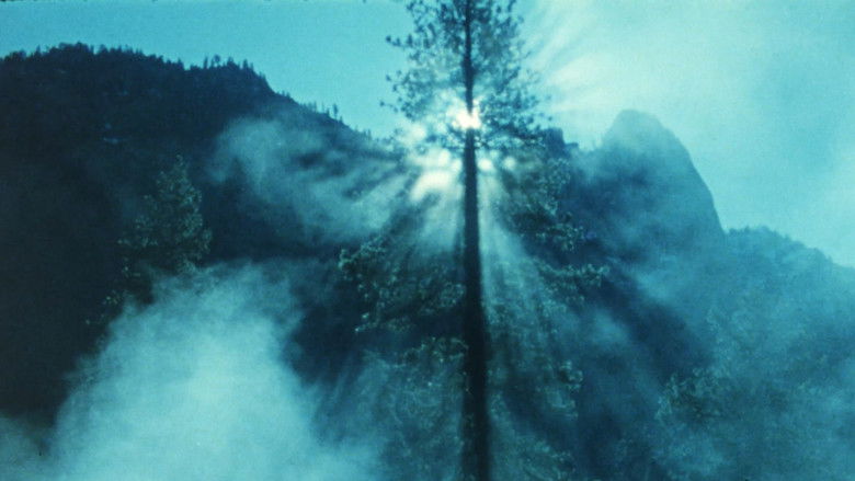 кадр из фильма Wilderness: A Country in the Mind