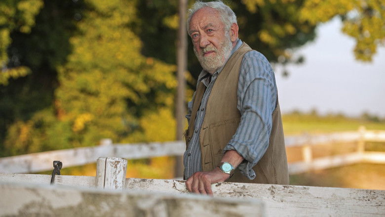 кадр из фильма Друг моего сердца