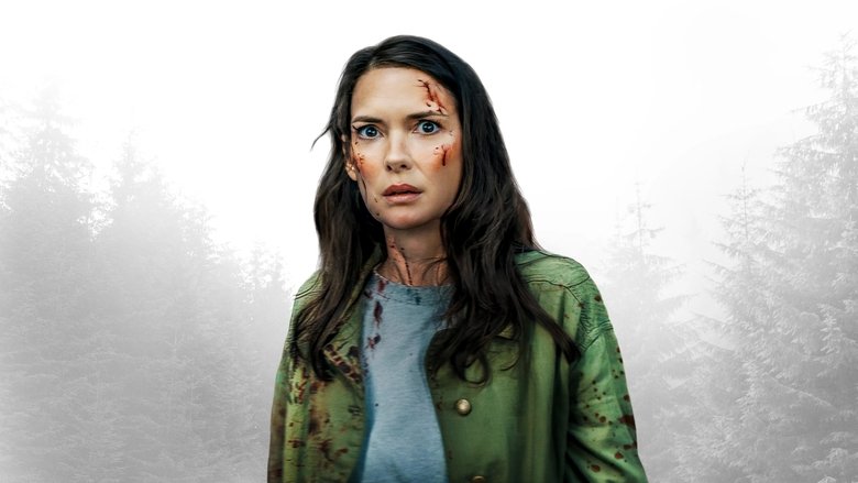 Пропавшие в ночи