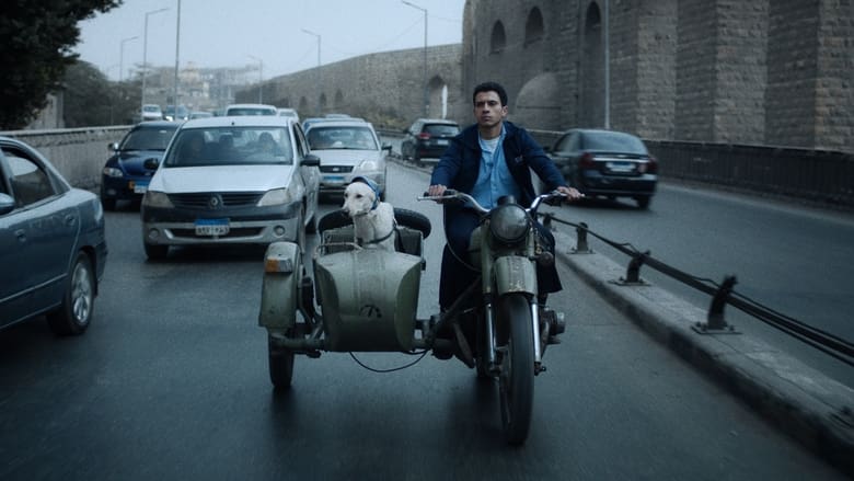 кадр из фильма البحث عن منفذ لخروج السيد رامبو