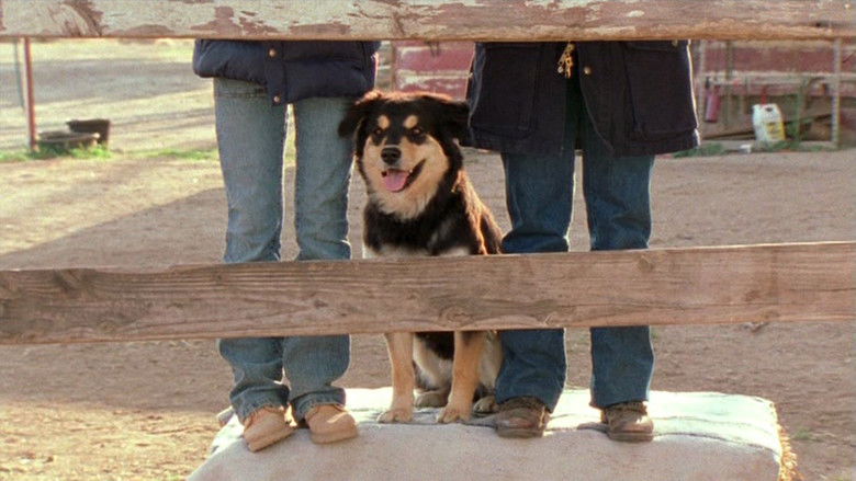 кадр из фильма Hollywood, It's a Dog's Life