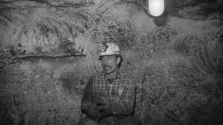 кадр из фильма Hearts of Hope