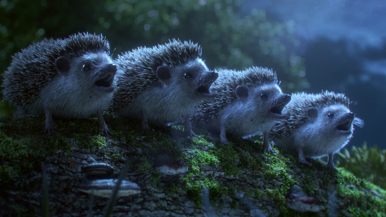 кадр из фильма Маэстро