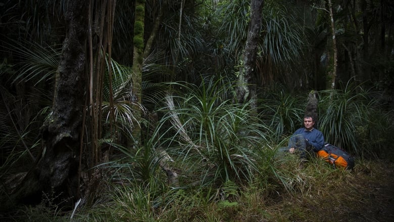 кадр из фильма Таинственный лес