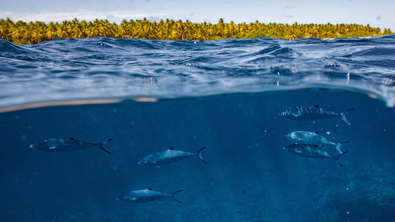 кадр из фильма Expedition Amelia