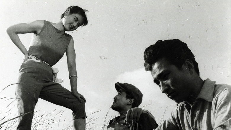 Цветок в аду