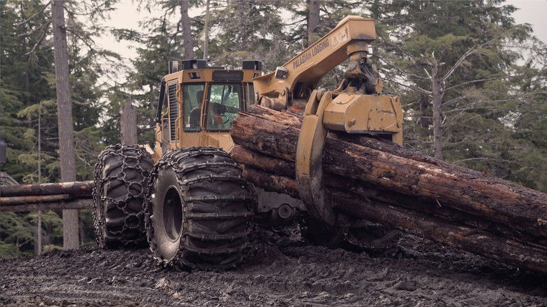 кадр из фильма Planted in 2020