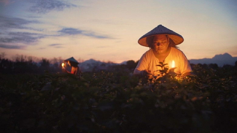 кадр из фильма Quing Lalam Ning Aldo