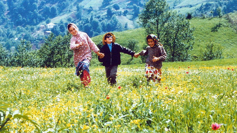 кадр из фильма Цвет рая