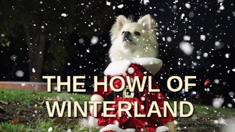 кадр из фильма The Howl of Winterland