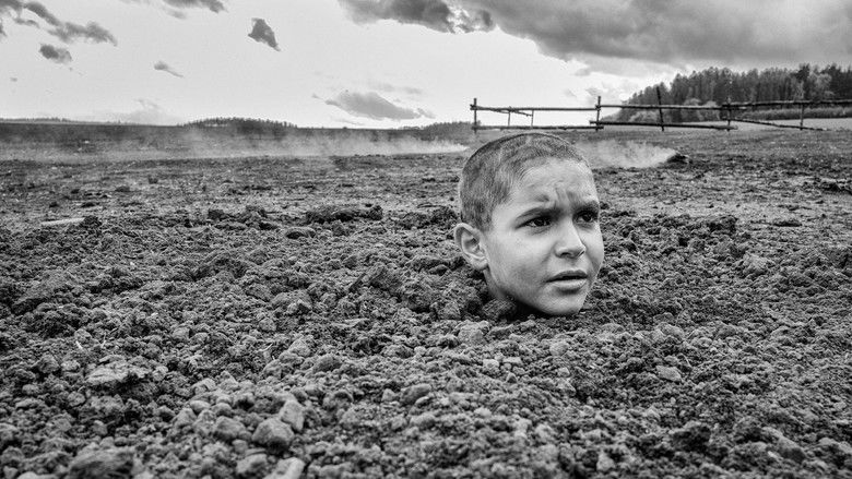 кадр из фильма Раскрашенная птица