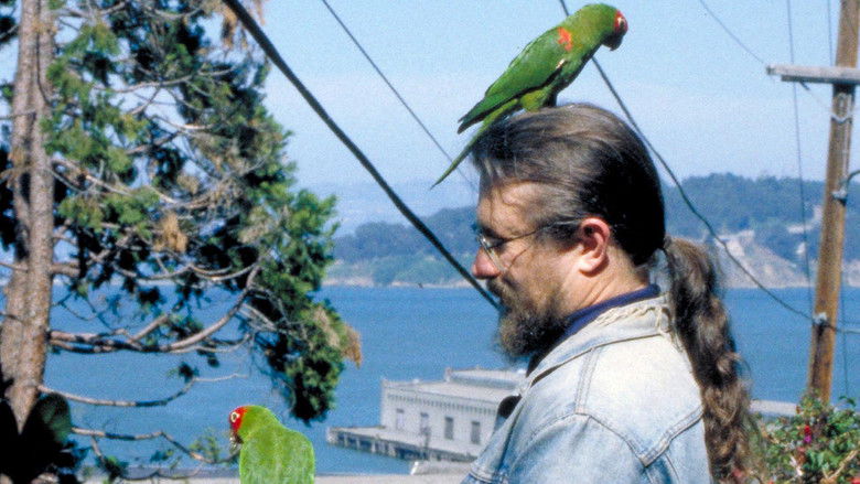 кадр из фильма The Wild Parrots of Telegraph Hill