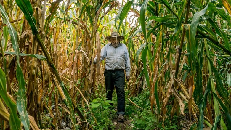 кадр из фильма Allá en el cielo