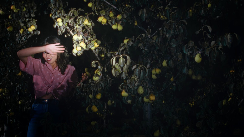 кадр из фильма O Pomar