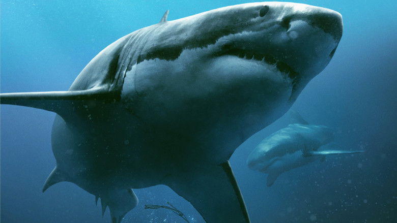 кадр из фильма Синяя бездна