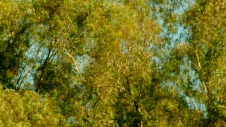 кадр из фильма Percepción