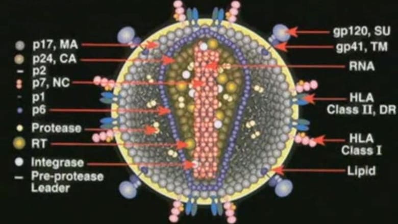 кадр из фильма Deconstructing the Myth of Aids