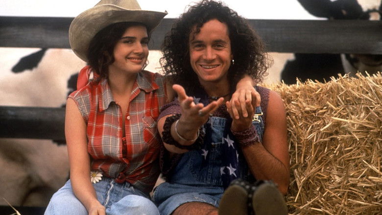 кадр из фильма Зятек