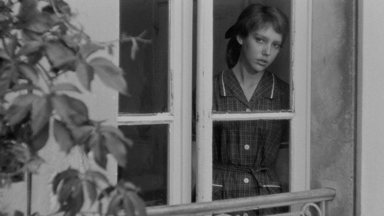 кадр из фильма Наудачу, Бальтазар