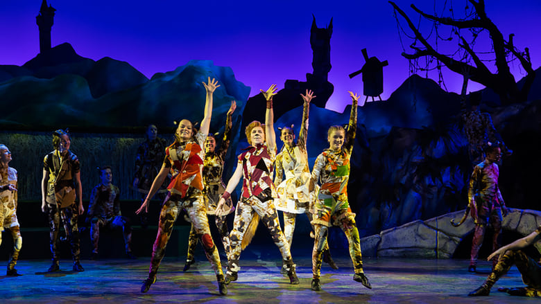 кадр из фильма De Sprookjesmusical: De gelaarsde Kat