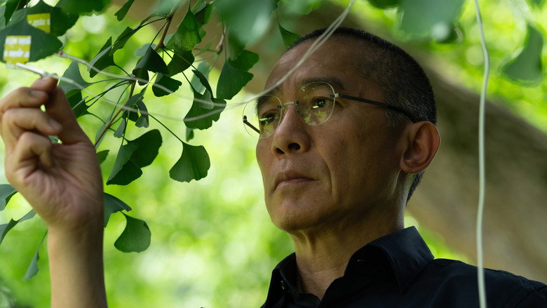 кадр из фильма Молчаливый друг