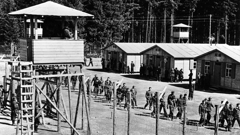 кадр из фильма Большой побег