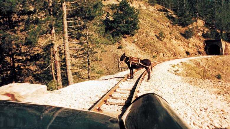 кадр из фильма Жизнь как чудо