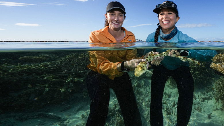 кадр из фильма Baby Sharks