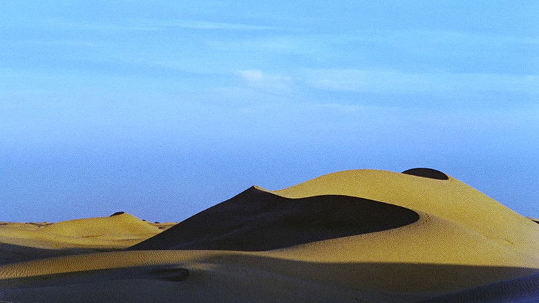 кадр из фильма Fata Morgana