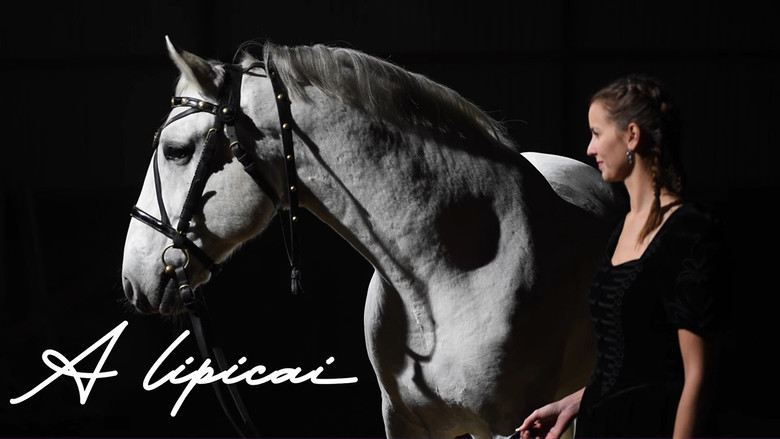 кадр из фильма A lipicai