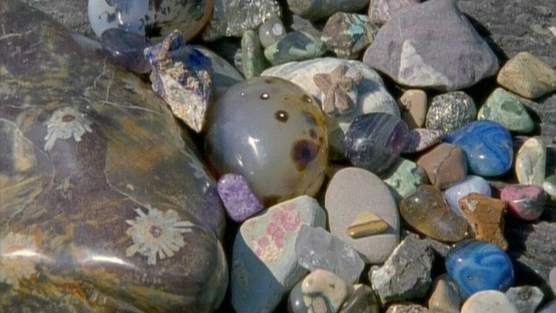 кадр из фильма たまたま