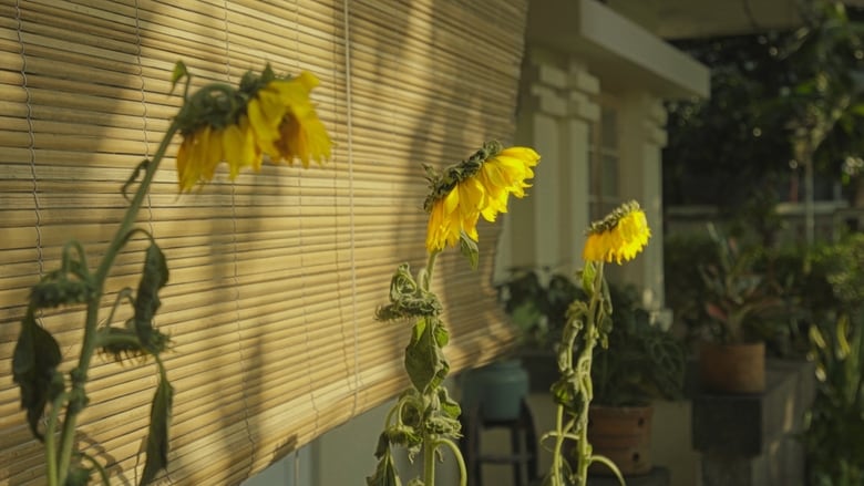 кадр из фильма Rumah dan Bunga Matahari