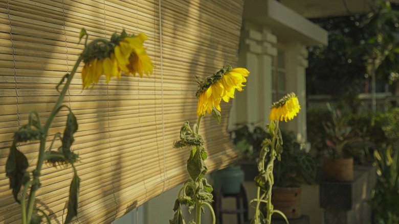 кадр из фильма Rumah dan Bunga Matahari