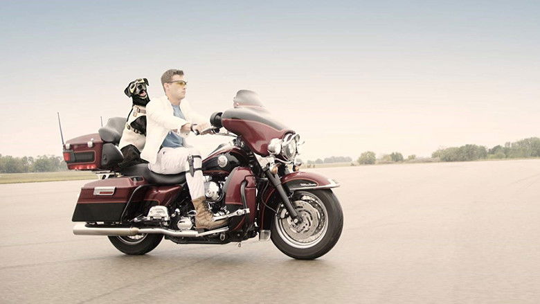 кадр из фильма Эллипс