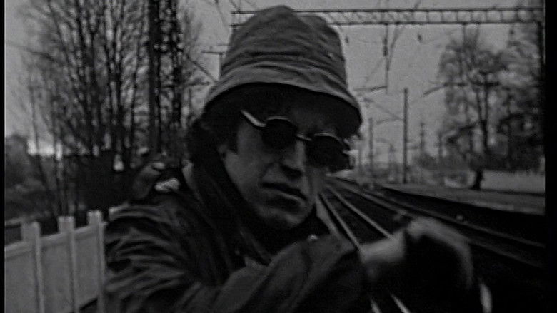 кадр из фильма Румба