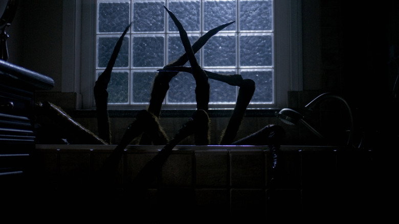 кадр из фильма Night Spider