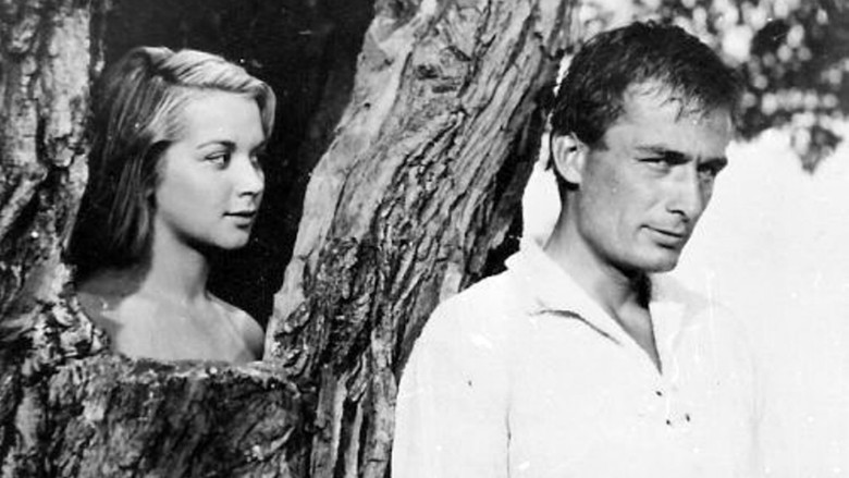 кадр из фильма Конникът