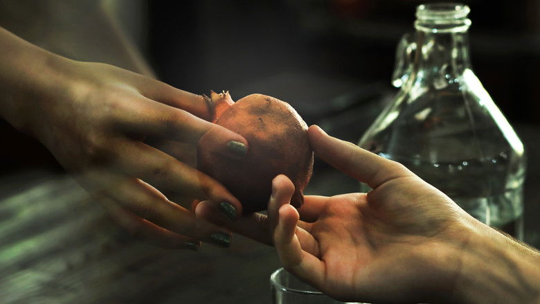 кадр из фильма سه‌گانه چشم‌انداز