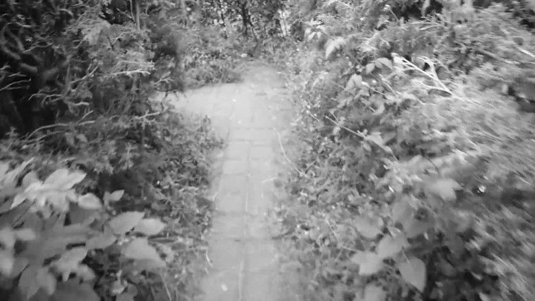 кадр из фильма Costura Eutimia