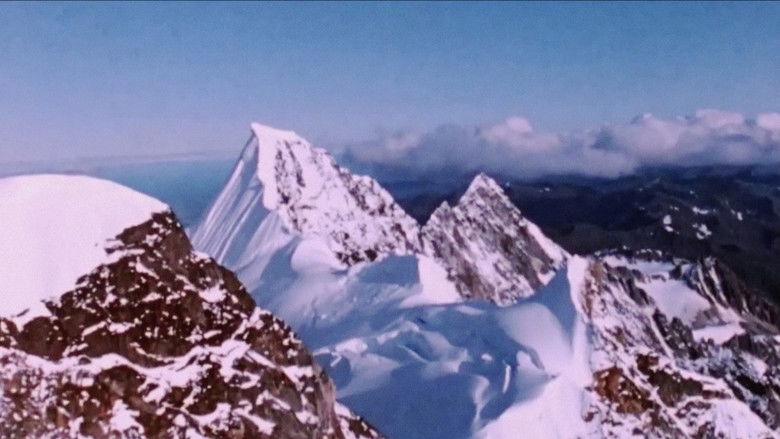 кадр из фильма Wilderness: A Country in the Mind
