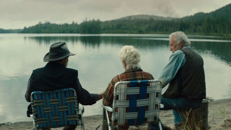 кадр из фильма Птицы падали дождем