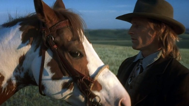 кадр из фильма Идальго: Погоня в пустыне