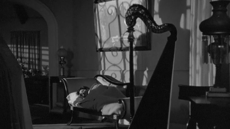 кадр из фильма Я гуляла с зомби