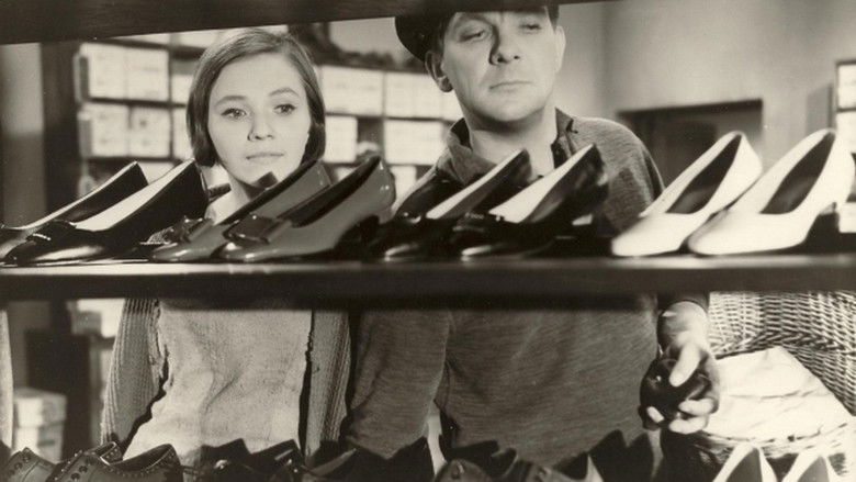 кадр из фильма У богатой госпожи