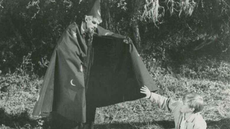 The Princess and the Magic Frog