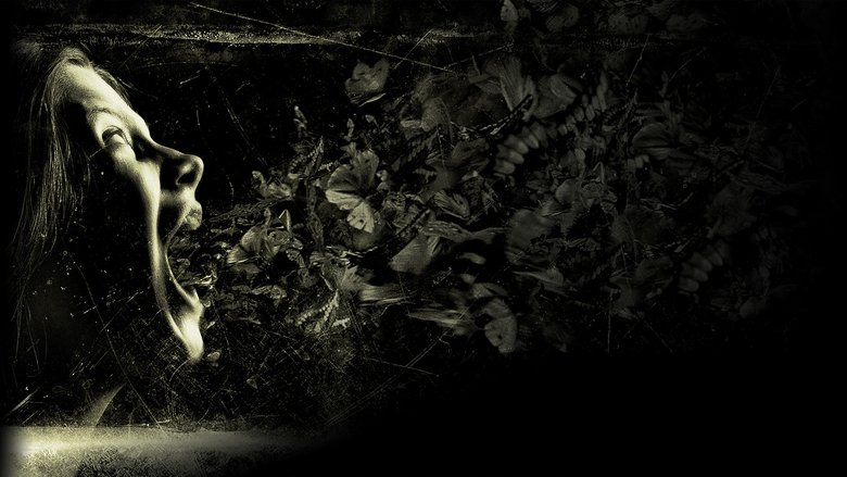 кадр из фильма Шкатулка проклятия