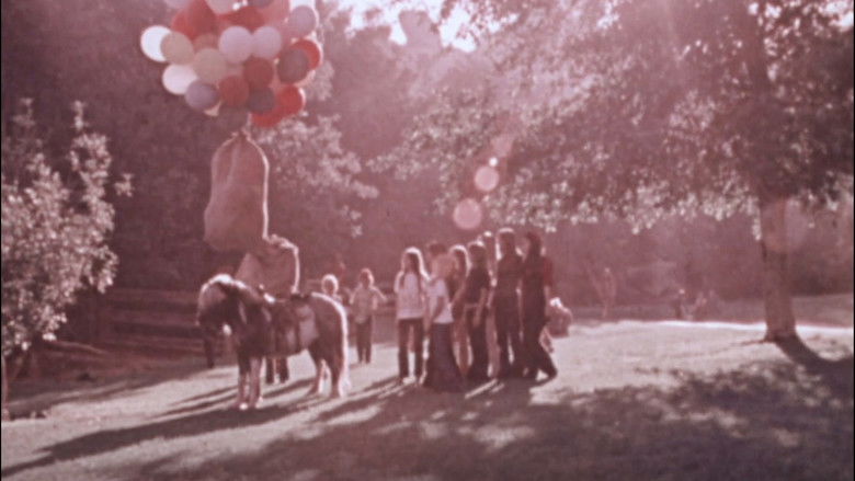 кадр из фильма The Baggs