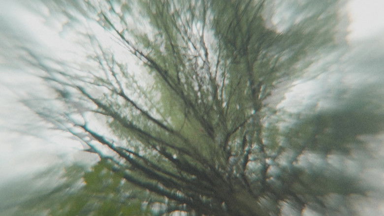 кадр из фильма Chimera