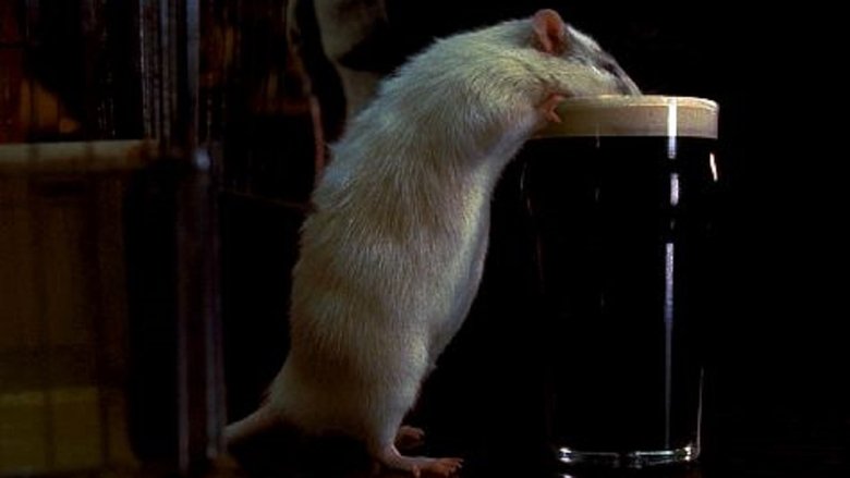 Мистер крыс