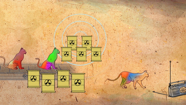 The Ray Cat Solution
